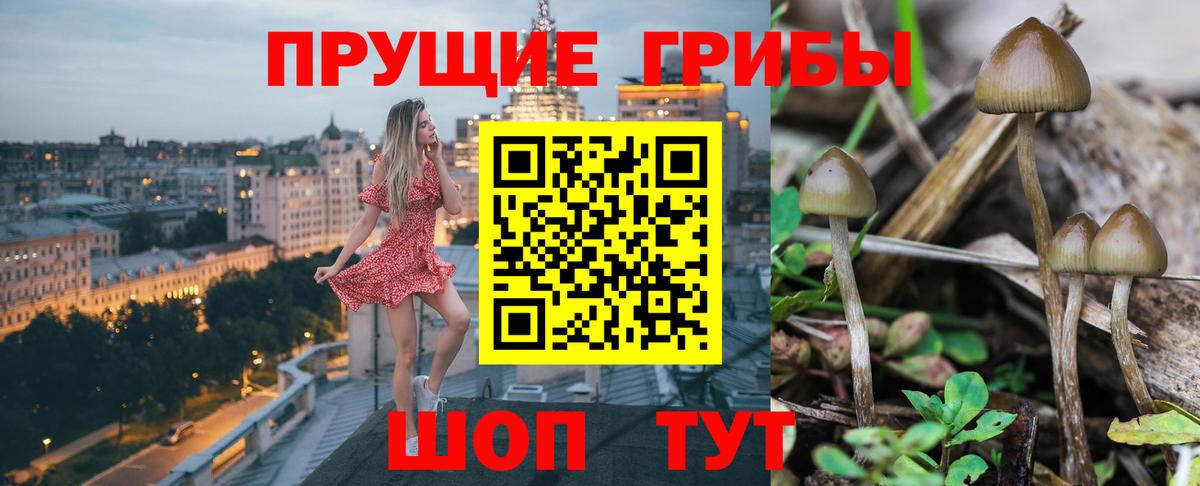 Георгиевск  Псилоцибиновые грибы мицелий  Вход с VPN 