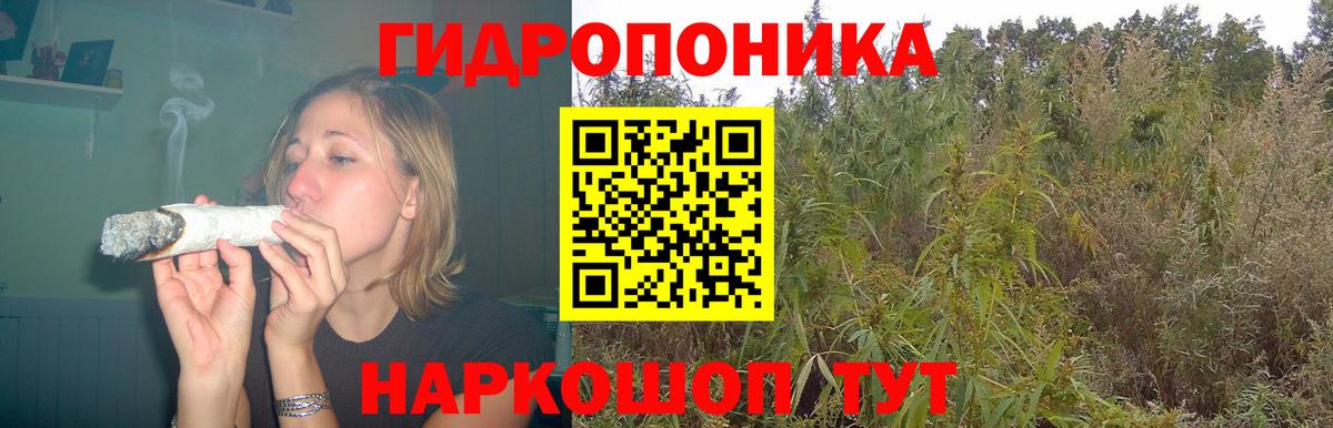 Каннабис White Widow Георгиевск